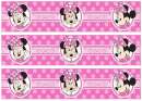 Minnie Mouse #2 Edible Icing Cake Strips
